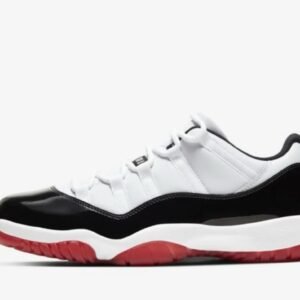 Nike Low dunk Jordan shoes