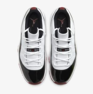 Nike Low dunk Jordan shoes