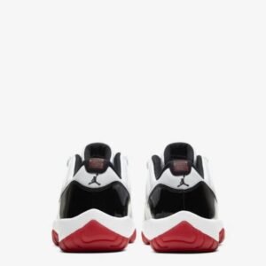 Nike Low dunk Jordan shoes